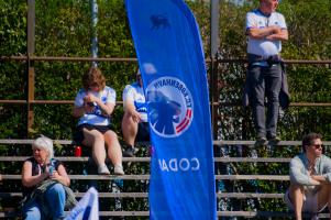 F.C. København - OB Q - 02/05-2026