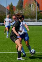 F.C. København - OB Q - 02/05-2026