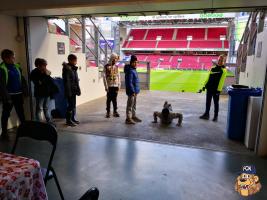F.C. København - Randers FC - 07/10-2018