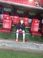F.C. København - Viborg - 29/11-2016