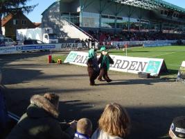 Silkeborg - F.C. København - 16/10-2005