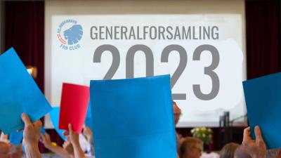 Generalforsamling